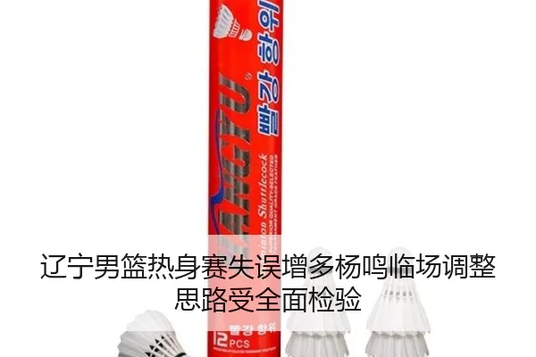 辽宁男篮热身赛失误增多杨鸣临场调整思路受全面检验