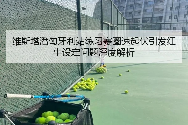 维斯塔潘匈牙利站练习赛圈速起伏引发红牛设定问题深度解析